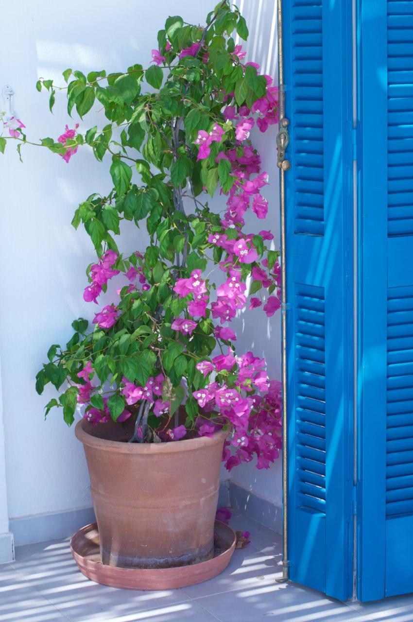Τhe White Houses Makrýgialos エクステリア 写真